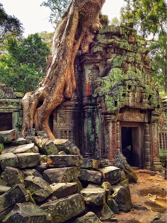 Ta Prohm Temple, Ang...