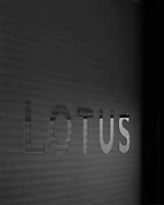 麻辣方糖采集到Lotus