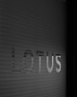 1/3__ Team announcement incoming! #lotus #design #cardesign #team | Instagram