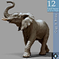 3D _ Elephant Statue _ 12 land impact