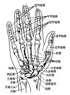 捡单点采集到手