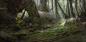 titus-lunter-forest2014.jpg (1280×622)