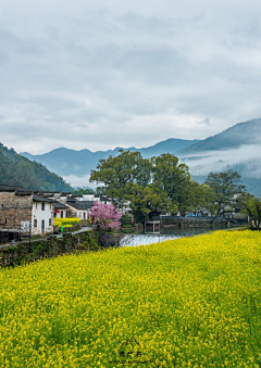 蝉鸣223采集到日式场景