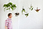 Boskke Sky Planters Create a Fantastic Suspended Garden