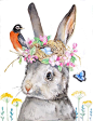 兔子和罗宾鸟巢插图艺术由asho： 