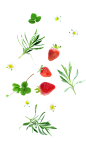 [美工云]韩式草莓春季春天气息唯美海报PSD模板_PNG：