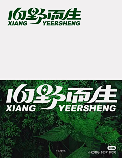 xixinlai采集到字体