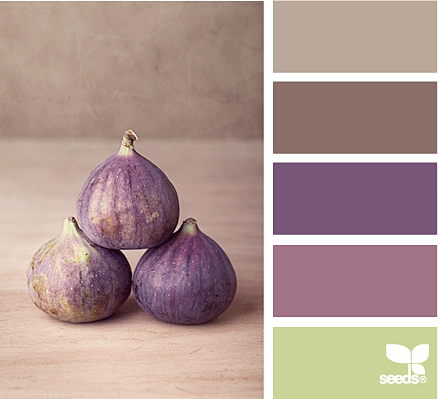 fig hues