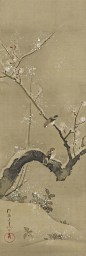 Hoitsu.Cat_.46l-Birds-and-Flowers-of-the-Twelve-Months-Feinberg-Collection.jpg (1487×4435): 