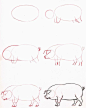 Learn to draw: Pig