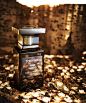 George Pedersen - Still Life Photographer -  Tom Ford - Oud Wood www.georgepedersen.com