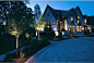 Learn the ins and outs of landscape lighting