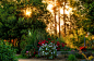 Chile_Gardens_Algarrobo_Rays_of_light_Shrubs_Trees_537522_1280x837(1)