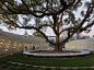 “希望之城”研究及治疗中心，加利福尼亚 / Belzberg Architects : 回归荣耀与自然