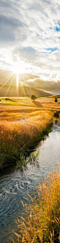 Sunset in the fields of Queenstown, New Zealand