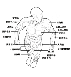 时间旅行采集到想要