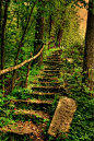 Staircase in the woods - Imgur. I so want to walk up these stairs.