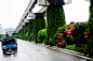 新加坡桥梁立体绿化