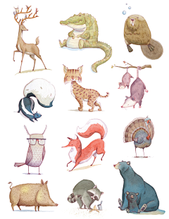木木桑麻采集到商业插画-动物形态参考