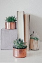 Mini copper planter, ideal for succulents or cacti... little watering with short growth height and short roots... #planter #table