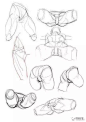 人体腰部、胯部、臀部练习，很棒的绘画参考教材！