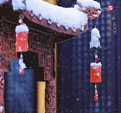 『卷卷』采集到花艺