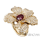 卡瑞拉·卡瑞拉 (Carrera y Carrera) 2014年Orquideas系列珠宝
黄金钻石镶嵌红宝石戒指