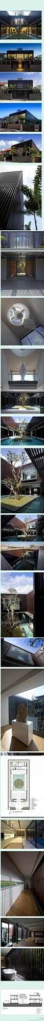 一棵树的故事： 私宅，新加坡，设计WA+D