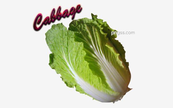 cc82850c97b0466b34e57174f2a3850824d4bd574d65-MnhgJ9
