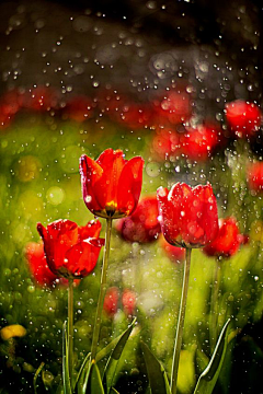 行悠采集到雨的节奏