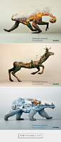 Publicité - Creative advertising campaign - Robin Wood: Destroying nature is destroying lif: 