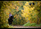 Fall 2011_1 by paula2206-photo on deviantART