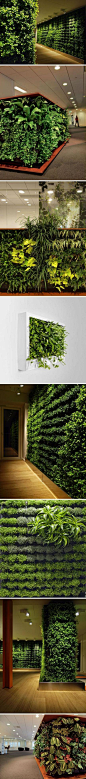 【春色满屋】你渴望室内也能亲近花草绿色吗？来自于瑞典的绿植家具公司Greenworks可谓独树一帜，他们已经研发了绿植墙、可移动绿植墙 、空中花园吊灯和壁挂相框式绿植在内的一系列产品。在易打理和易存活的前提下，营造一个轻松愉悦漂亮的办公环境；大面积的天然植物有助于净化加湿空气、吸收噪音@北坤人素材
