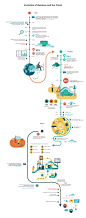 Microsoft development timeline  - Jing Zhang illustration : illustration, infographic, advertising illustration