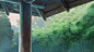 gif gifs anime green Makoto Shinkai rain scenery imadethis greenery anime scenery rainy weather Kotonoha no Niwa Garden of words anime sceneries animu sceneries animu scenery 