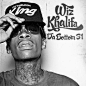 Wiz Khalifa Da Bottom 31 音乐 cd 美版订购