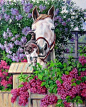 美国Bonnie Marris油画-马1