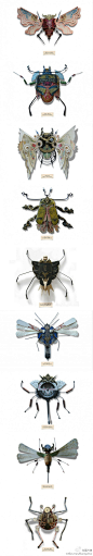 昆虫的工业进化论。英国艺术家Mark Oliver用平时我们已经当作垃圾的诸如旧书刊杂志，太阳镜碎片，铜导体，手表齿轮，闹钟的指针等等工具和磨损的零件拼凑出了这些新的“昆虫们”。