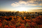 Sunrise over Montréal : Shot from the château at Mont Royal.  Bracketed 3 shots, blended in Photomatix and final editing in LR 4