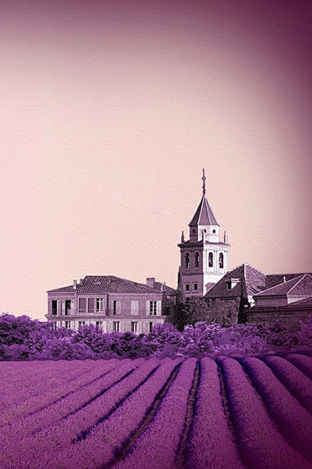 普罗旺斯的梦幻城堡，成片的紫色薰衣草，传...