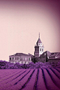 普罗旺斯的梦幻城堡，成片的紫色薰衣草，传说中的公主城堡也不过如此吧？大爱啊！~~~~~