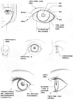 童艺创意美术采集到【绘画】卡通⊙萌