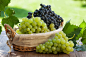 新鲜的葡萄水果高清图片 - 素材中国16素材网