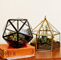 美国代购 urban outfitters Triangles Terrarium 多肉玻璃容器-淘宝网