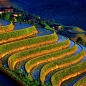 **Rice paddies in China.