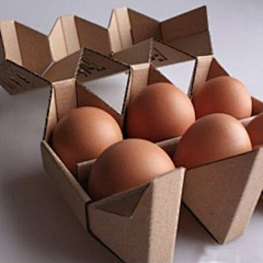 猪桑采集到蛋蛋蛋蛋