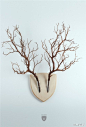 从鹿头壁饰中获得灵感，用一块简单的盾形木板，配以两根玻璃管制作的壁挂花器。简洁富有意趣。| 设计 Fabio Milito Design