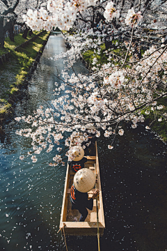 屿瑟采集到古风场景