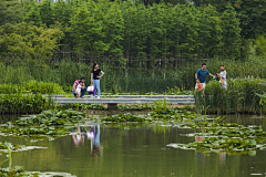 CUMT采集到湿地景观