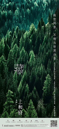 番茄大爷爷采集到场景